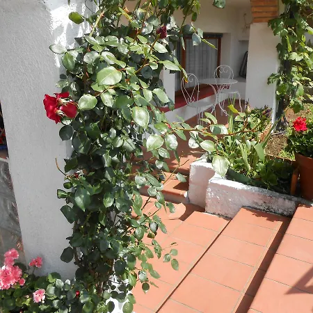 Appartamenti Villa Colibri Neggio Exterior photo