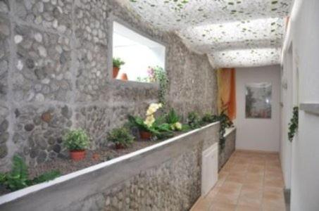 Apartamento Colibri *