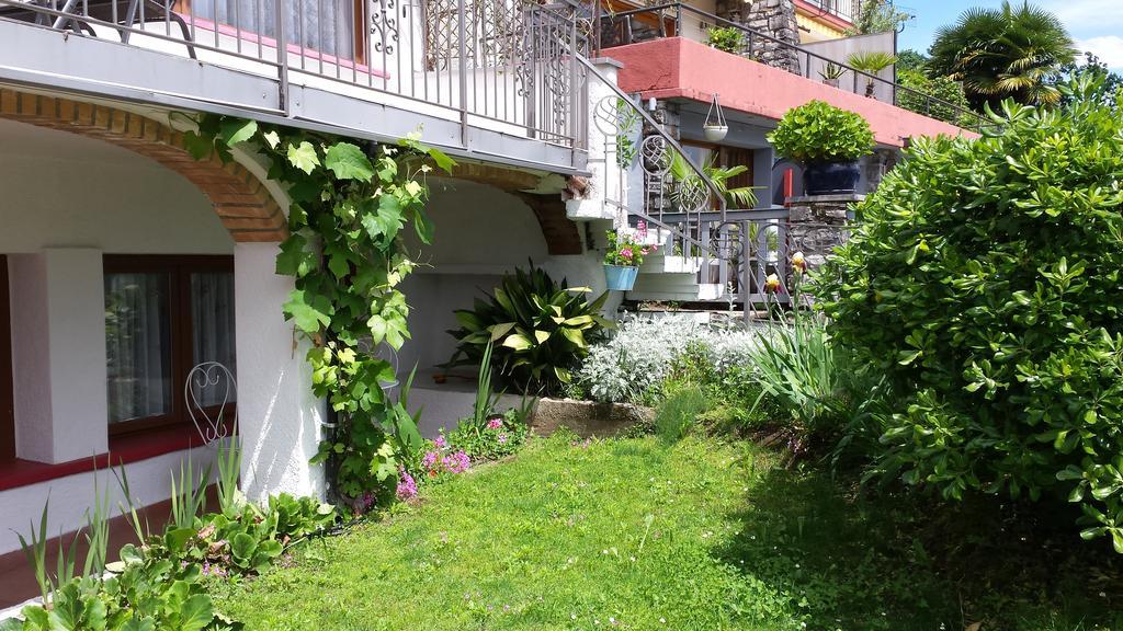 Apartment Colibri Neggio