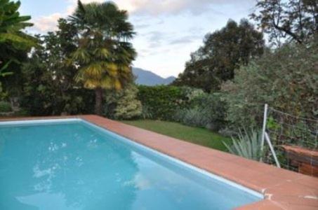 Colibri Apartment